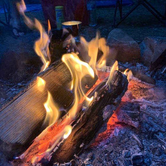 Meet your Posher, Tanya - Picture 4 of 6